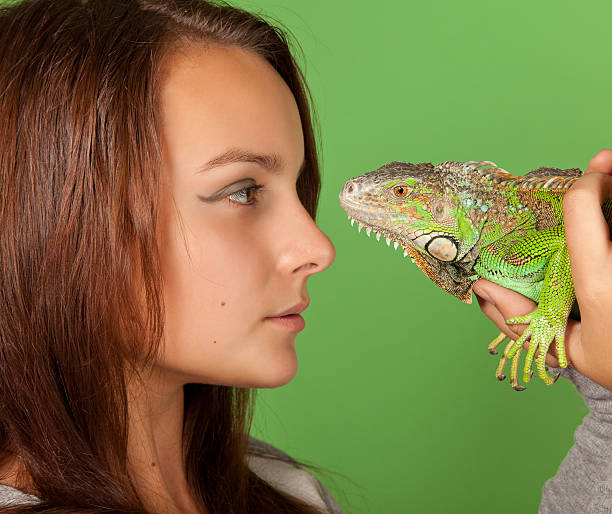 istock Young girl stares at iguana 155666798