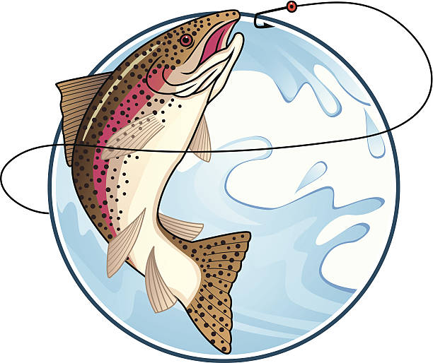 ilustrações, clipart, desenhos animados e ícones de pesca de truta - truta arco íris