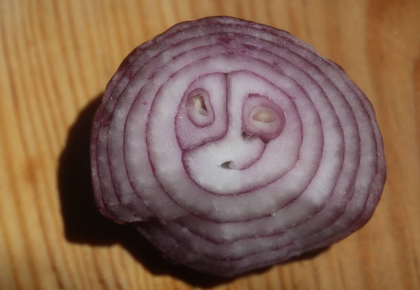 A variety of food items are displayed in an appetizing way.