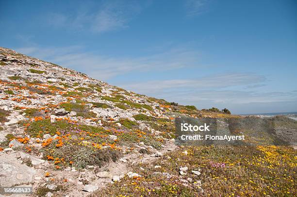 Seaside Trail Stock Photo - Download Image Now - Beach, Cloud - Sky, Colors