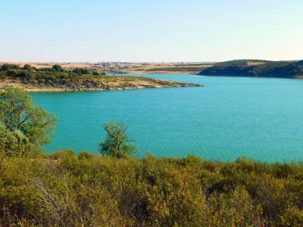istock Ricobayo reservoir in the Esla river 1556686370