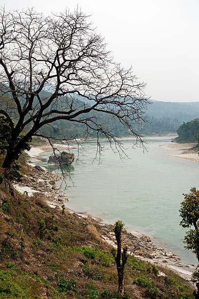 Narayani river of Nepal – zdjęcie