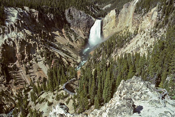 Lower Yellowstone Falls The headwaters of the Yellowstone River is on the Continental Divide of the Rocky Mountains in Wyoming. It is a tributary of the Missouri River and flows approximately 692 miles through Wyoming, Montana and North Dakota where it joins the Missouri River near Buford. As the Yellowstone river flows north from Yellowstone Lake, it leaves the Hayden Valley and plunges over Upper Yellowstone Falls and then Lower Yellowstone Falls. The river was photographed here as it plunges over Lower Yellowstone Falls and enters the Grand Canyon of the Yellowstone. Yellowstone Falls is in Yellowstone National Park, Wyoming, USA. jeff goulden yellowstone national park stock pictures, royalty-free photos & images