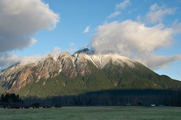 Farm and Snow Covered Mountain at Sunset Mount Si (4,167 feet) is a mountain on the western edge of the Cascade Range just above the coastal lowlands of Puget Sound. It rises 3,727 feet above the nearby towns and farm lands. Mount Si was named after local homesteader Josiah "Uncle Si" Merritt. It was featured in the television show Twin Peaks, which was filmed in nearby North Bend, Washington State, USA. jeff goulden agriculture stock pictures, royalty-free photos & images