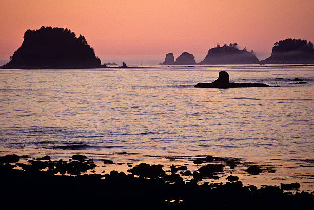 Pacific Ocean Sunset and Sea Stacks Sunsets over the Pacific Ocean can be colorful and spectacular. The rocky sea stacks make an interesting frame for the setting sun. This picture was taken at Sand Point in Olympic National Park, Washington State, USA. jeff goulden olympic national park stock pictures, royalty-free photos & images
