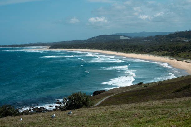 istock Coffs Harbour, New South Wales 1556721962
