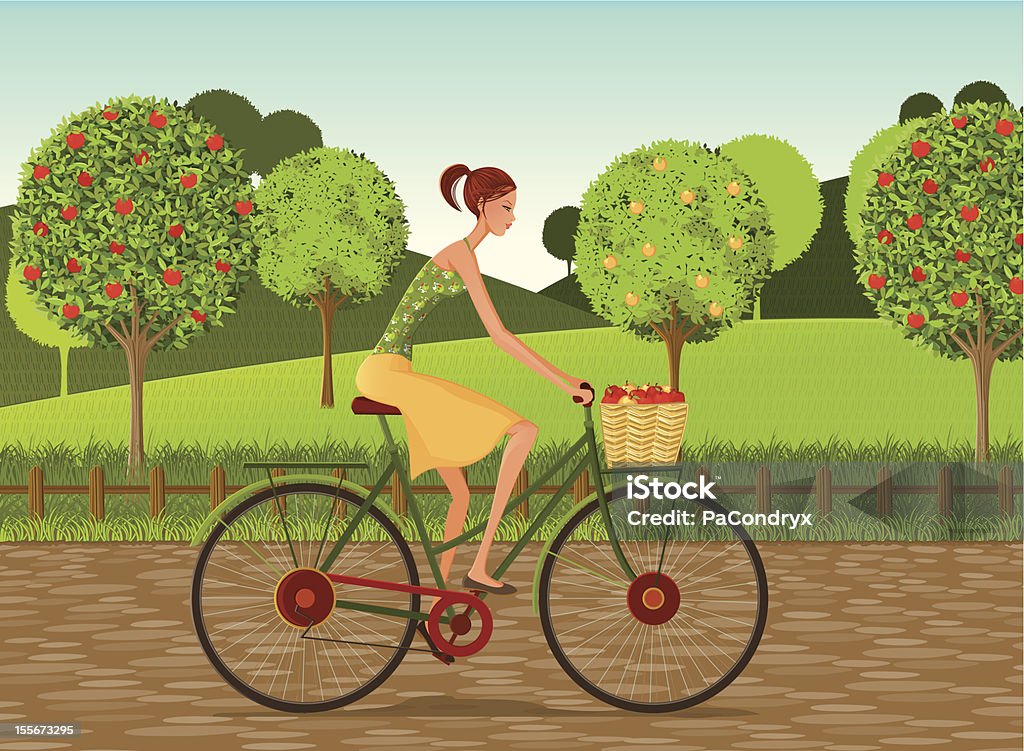 Girl with bike and apples in Countryside Cartoon Country Girl with bike back from harvesting apple trees Fence stock vector