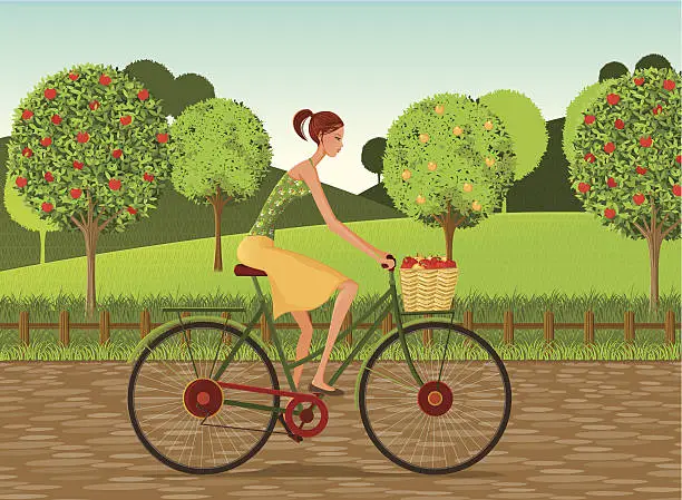 Vector illustration of Girl with bike and apples in Countryside
