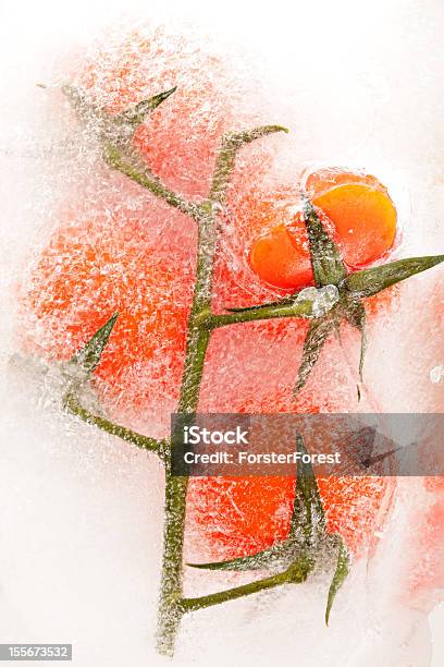 Tomatoes In Ice Stock Photo - Download Image Now - Branch - Plant Part, Food, Food and Drink