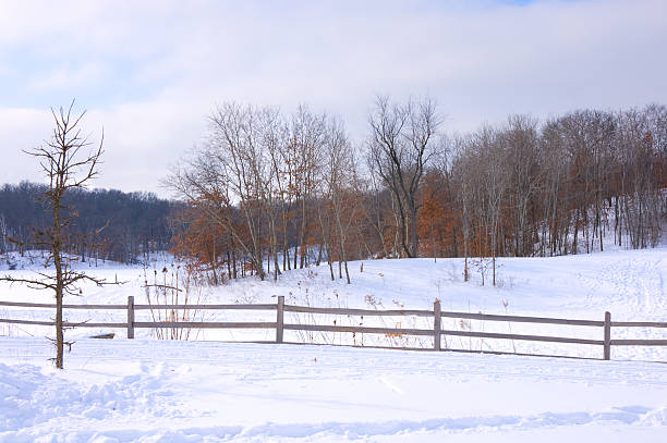 istock Schulze Lake Trailhead in Winter 155673933