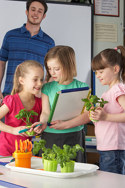 istock Girls learning about plants in school class 155674023
