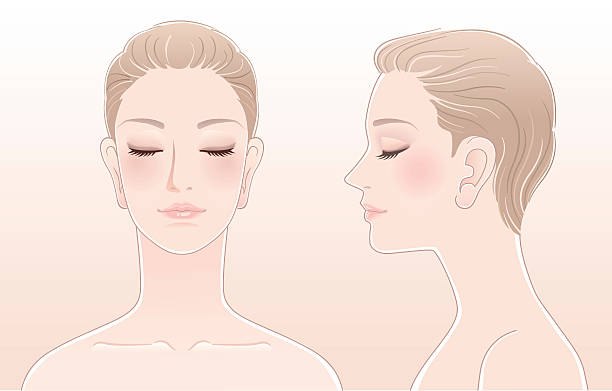 Set of Beautiful woman portrait with eyes closed vector art illustration