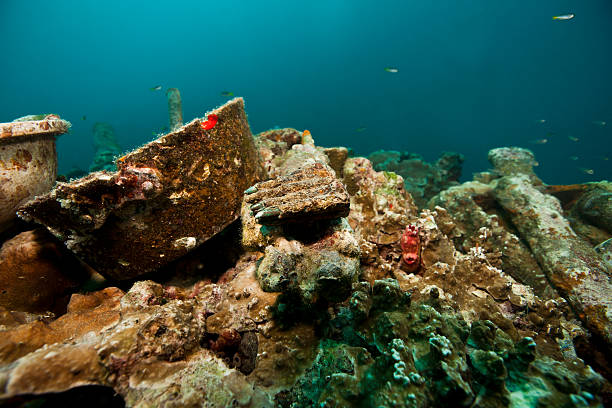 Artifacts on the 80mm deck gun of the Helmut Wreck