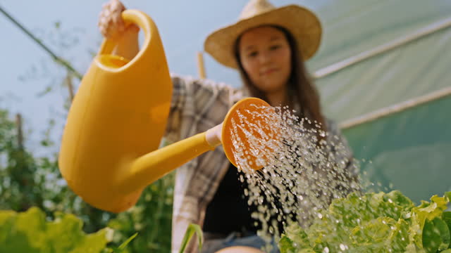 SLO MO Sunlit Sanctuary: Female Farmer Nurtures Green Vegetable Plants in Greenhouse Haven