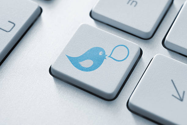 Social media button concept Blue bird with speech bubble on keyboard button. Social media concept. microblogging stock pictures, royalty-free photos & images