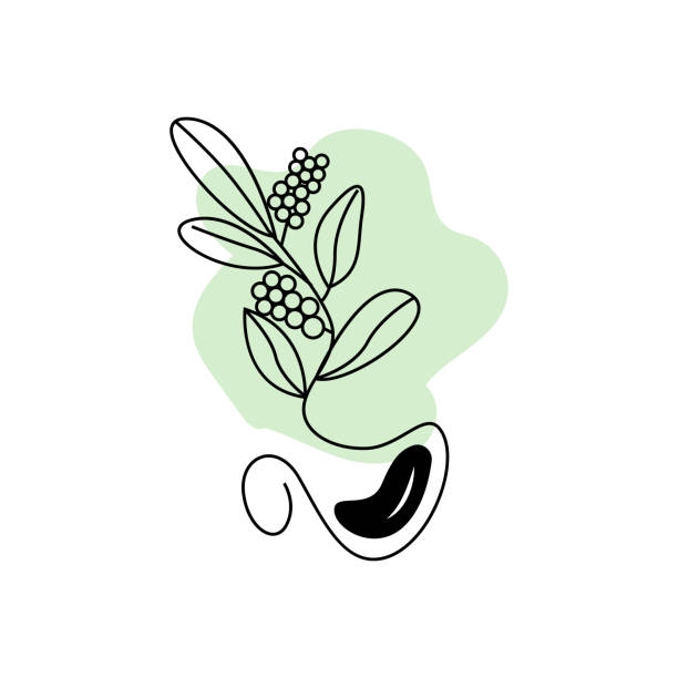 ilustraciones, imágenes clip art, dibujos animados e iconos de stock de diseño del logotipo del café, vector de bebida del árbol de café, ilustración del símbolo de la plantilla - menu bean brown caffeine