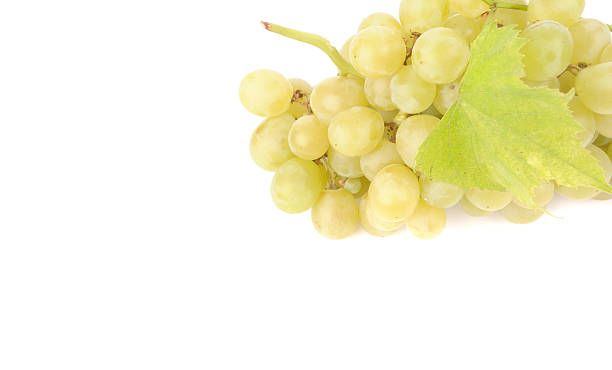 istock Branch of green grapes isolated on white 155683443
