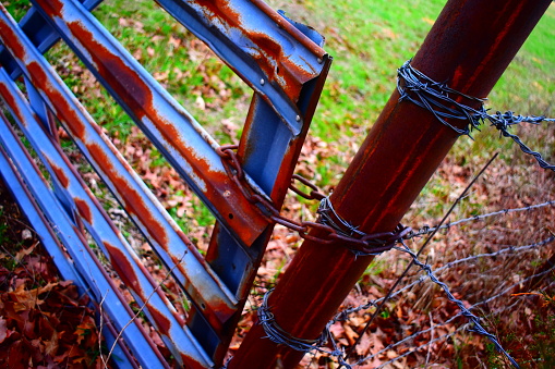 An old metal gate is held closed by a chain connected to a rusty metal fence post on a cattle farm in rural Missouri, MO, United States, USA, US. Vivid, saturated color.