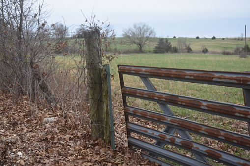 A slightly opened metal farm gate on a cattle farm in rural Missouri, MO, United States, USA, US.