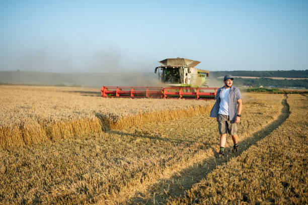 istock Mid aged farmer walking on wheat field next to the combine. 1556878811
