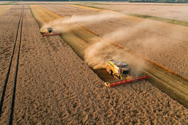 istock Combine harvestingt crop fropm above. 1556879334