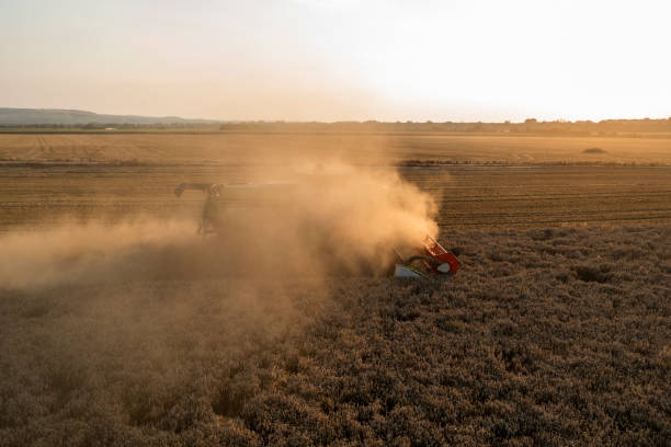 istock Combine harvestingt crop fropm above. 1556879343