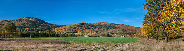 istock Colors of autumn 155688269