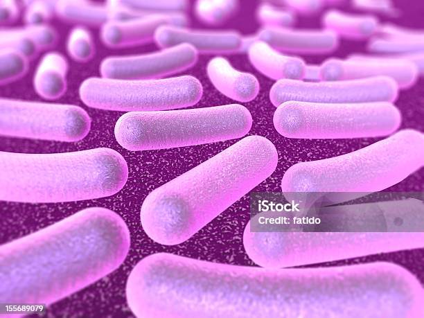 Bacterium Stock Photo - Download Image Now - Bacillus Subtilis, Backgrounds, Bacterium