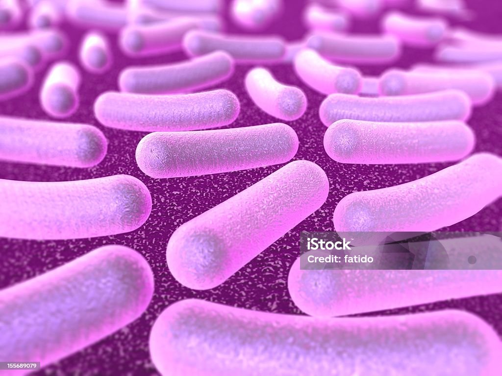 Bactéria - Foto de stock de Ampliação royalty-free