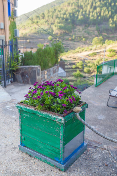 Old painted beehive reused as a planter. Las Hurdes Region, Caceres, Extremadura, Spain