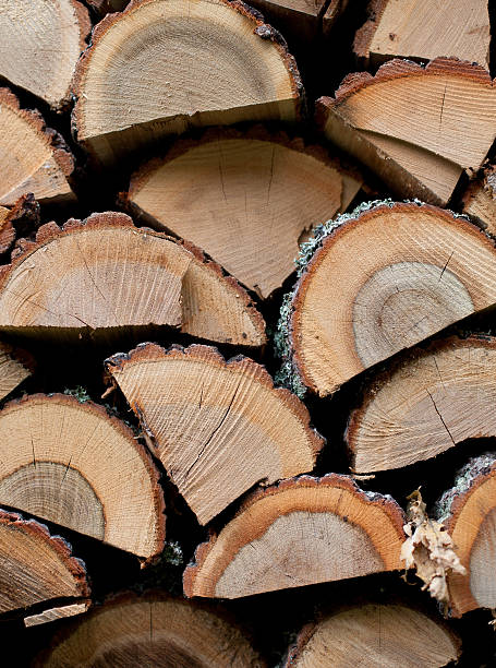 Pile of firewood background stock photo