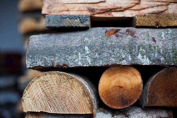 Firewood stock photo