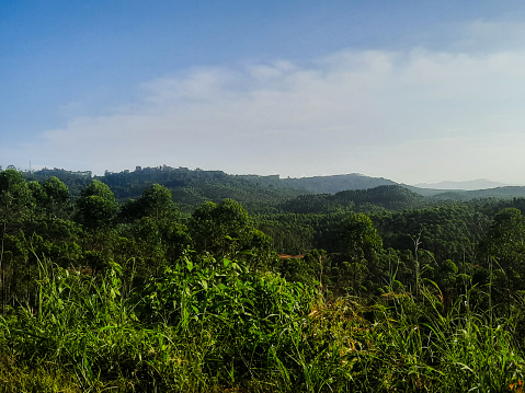view of the hills and tropical forests of Kalimantan, especially the rainforests of the city of Sepaku, Indonesia