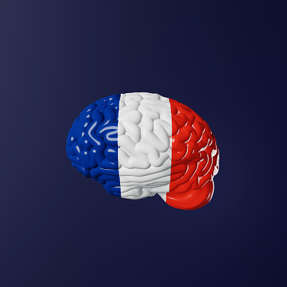 French Learning Foreign language fluency improvement Human brain in France flag colors 3d rendering. Studying Native speakers Memory Online course design education Expressions Idioms Listening Reading