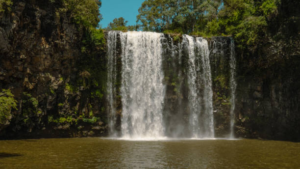 istock Dorrigo New South Wales 1556971426