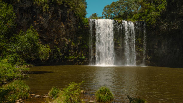 istock Dorrigo New South Wales 1556971428