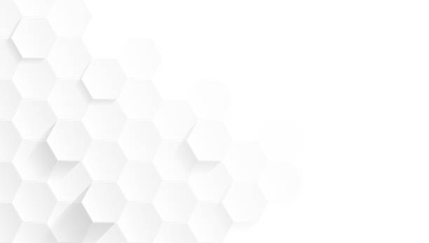 istock Minimalist and Modern Future Hexagon Abstract Geometric White and Gray Color Polygon Background Design Illustration 1556980552