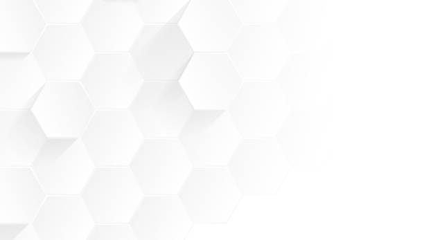 istock Minimalist and Modern Future Abstract Geometric White and Gray Color Background Design IllustrationMinimalist and Modern Future Hexagon Abstract Geometric White and Gray Color Polygon Background Design Illustration 1556980628