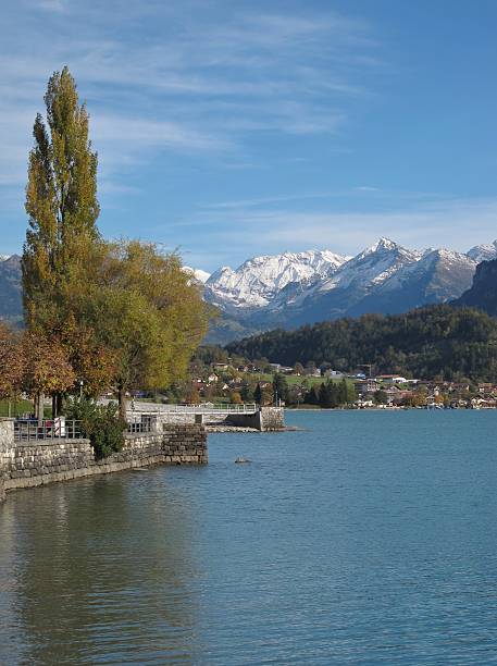 istock Brienz In The Autumn 155700960