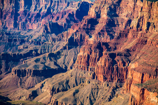 istock Grand Canyon south rim 1557042548