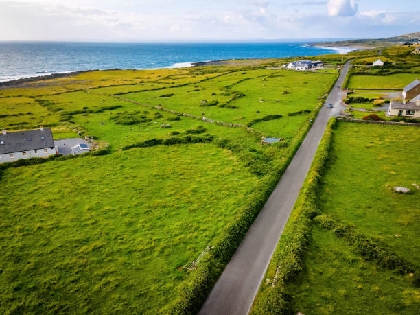 istock Irish country road coastline landscape at summer 1557081055