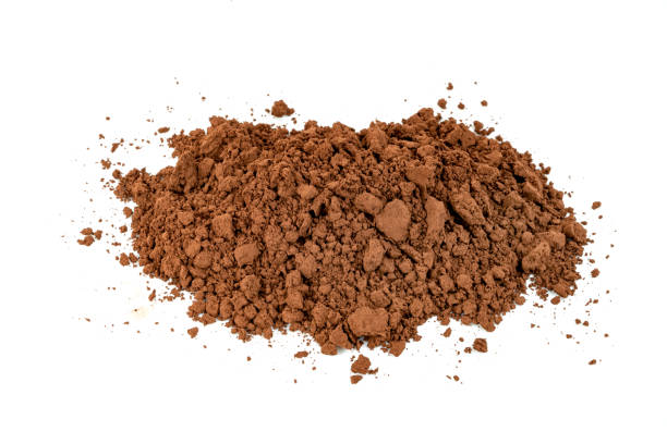 istock Cocoa powder isolated on white background 1557099695