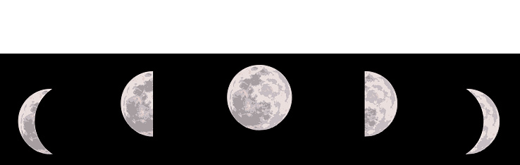 vector illustration of lunar cycle