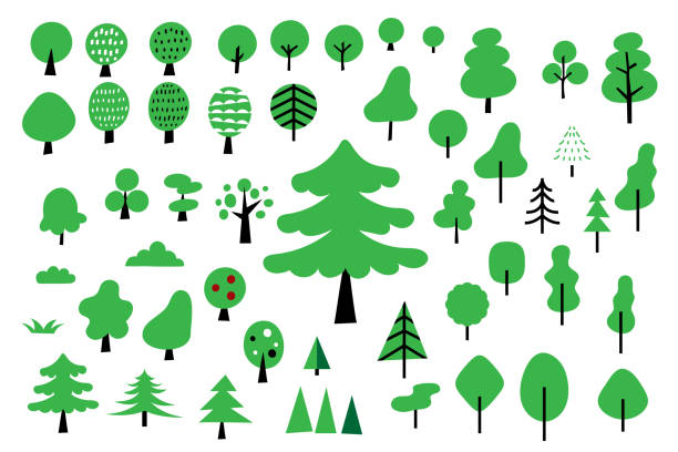 illustrazioni stock, clip art, cartoni animati e icone di tendenza di carino semplice albero in stile scandinavo. set di illustrazioni vettoriali - legno illustrazioni