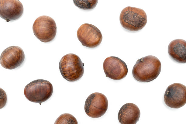 istock roasted chestnut isolated on white background 1557115951