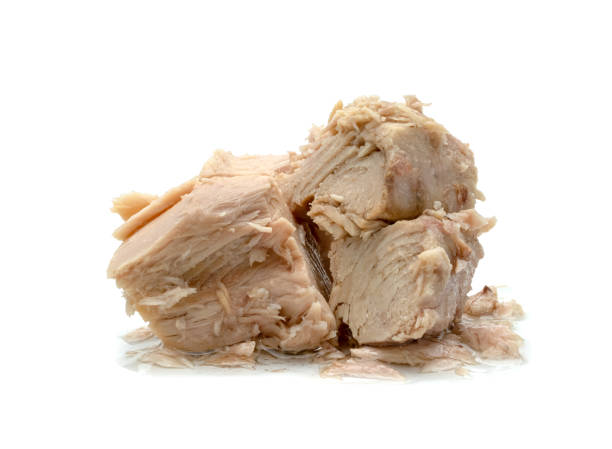 istock Canned tuna chunk in vegetable oil isolated on white background 1557137113