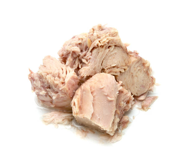 istock Canned tuna chunk in vegetable oil isolated on white background 1557151749