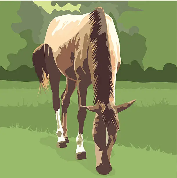 Vector illustration of Horse - Stylized