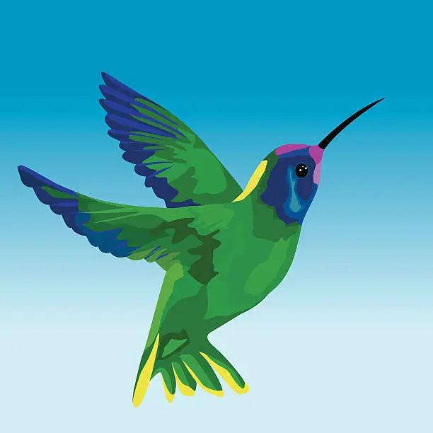 Vector illustration of Stylized Hummingbird