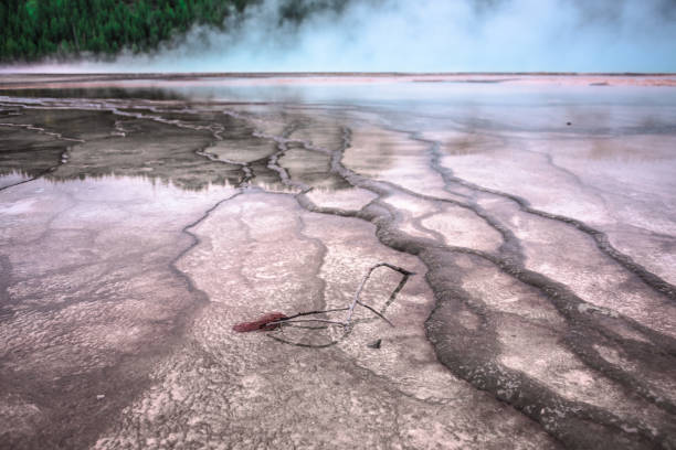 vapore blu della grand prismatic spring - yellowstone national park nature textured natural basin foto e immagini stock